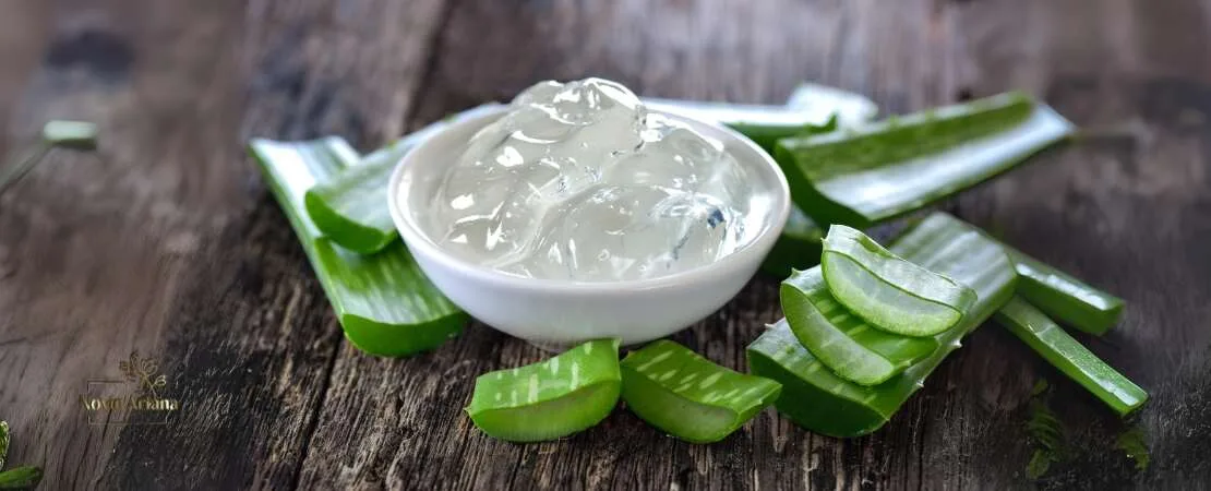 Aloe Vera After Hair Transplant: Best Tips You Need To Know
