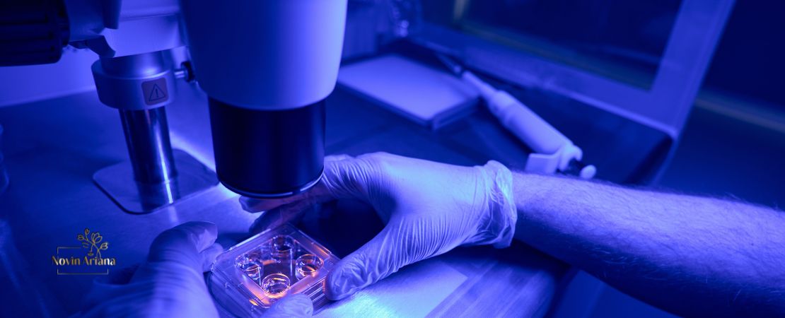 Uso delle cellule staminali nel trapianto di capelli