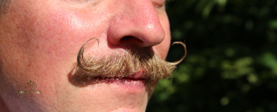 Greffe de Barbe en Turquie : Résultats Naturels à Prix Réduit