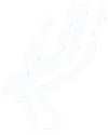 image 342